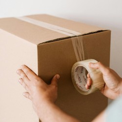 Coffret Loiseau ouvrard